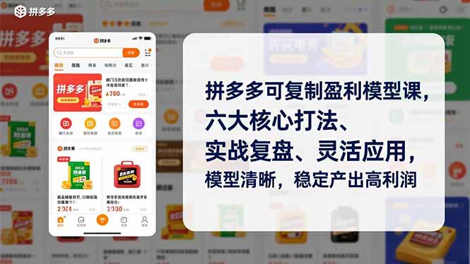拼多多可复制盈利模型课，六大核心打法、实战复盘、灵活应用，模型清晰，稳定产出高利润-极速搞钱云网创