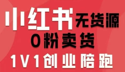 小红书无货源0粉电商课，开店准备、选品策略、笔记撰写、视频剪辑、数据分析、账号打造、资料文档(更新)-极速搞钱云网创